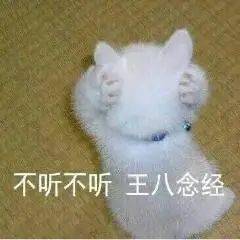 聊天表情包l大兄弟上天不