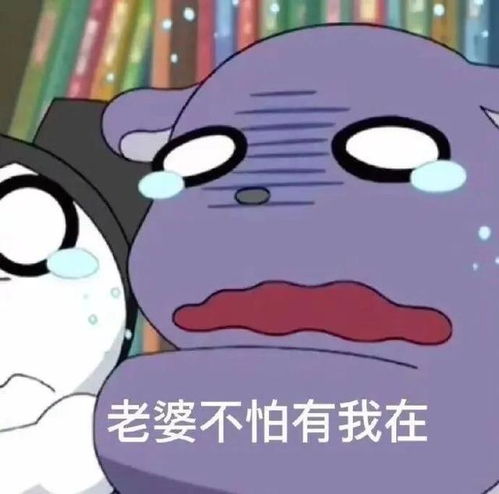搞笑表情包昨晚你去哪了大猪蹄子