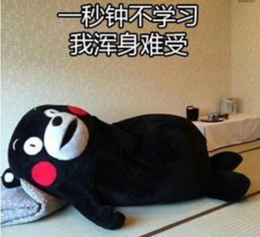 这个暑假,冰阔乐葛优躺延禧攻略追起来,而你和魏姐主角光环估计只差这波操作了......