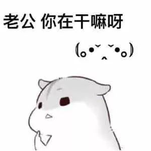 刘树林教授降狐十八掌你怕的其实不是狐狸精