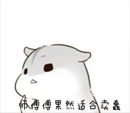 仓鼠表情包
