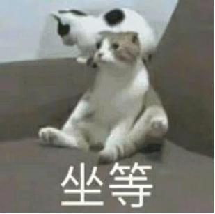 李涛,小众黑嗓打包安琪的前路如何