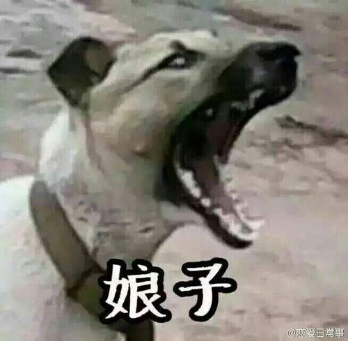 组里有没有考人力资源管理师三级的呀考完了