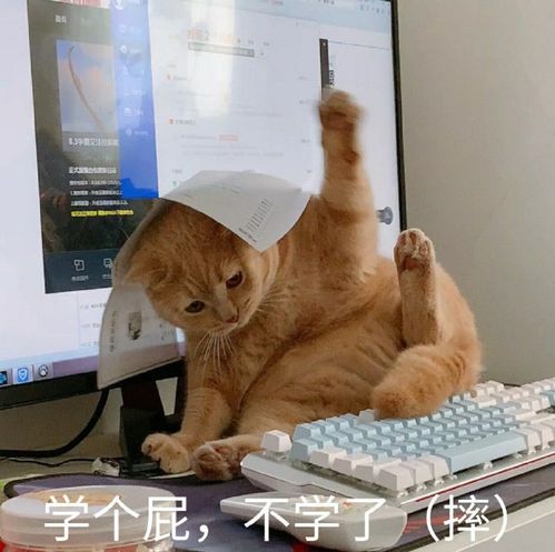 快来领取一学就会的期末考开挂指南吧