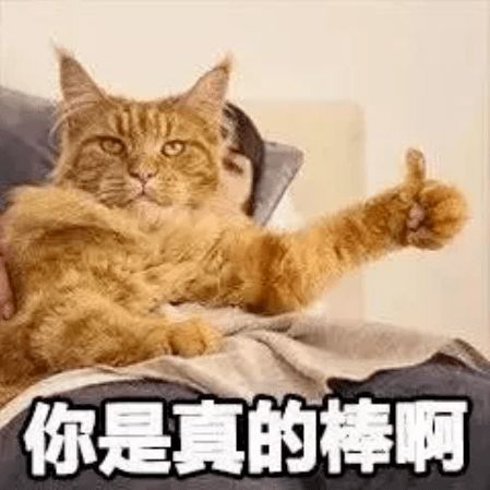 第72期喵表情水果摊阿姨都承认你甜过初恋