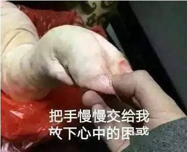 看他们如何昼伏夜出,力破私宰疑云