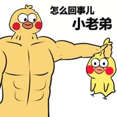 摇骰子惩罚图片表情包小黄鸡