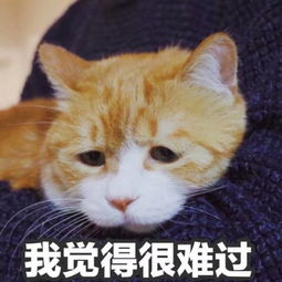 对我有意见吗捏碎你的蛋蛋捏碎蛋蛋意见表情