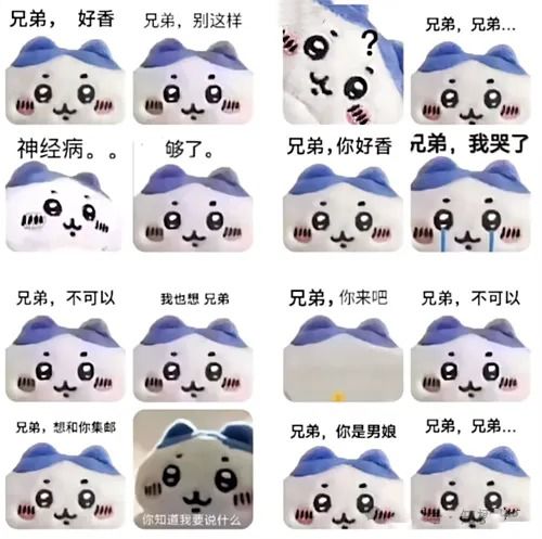 兄弟你好香是什么梗兄弟你好香梗意思介绍