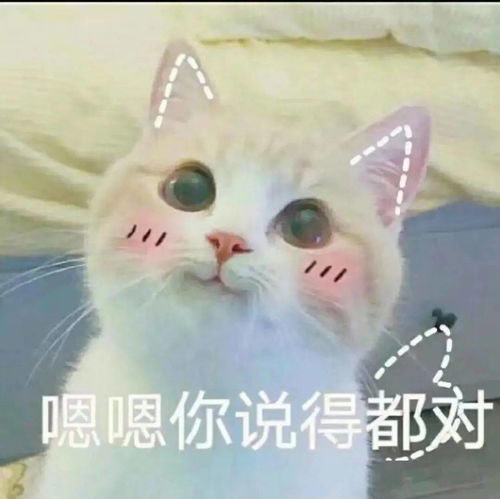 东坝开启创城加速度