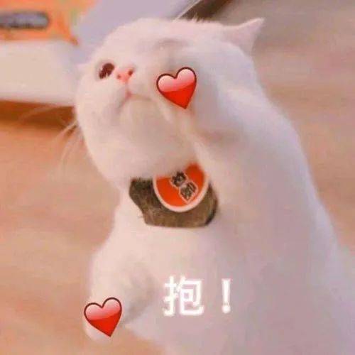 两个小时踢八个粉科举连得两个五色土幸运这是在赶着给我发年终奖吗