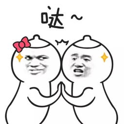 帕莱德门窗四觉体验式营销