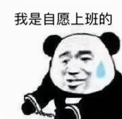 表情包不争气的东西,你觉得你又配了