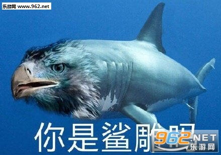 三天之内鲨了你表情包图片哥哥我来了快接住我表情包下载乐游网游戏下载