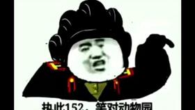 很苏维埃表情包д