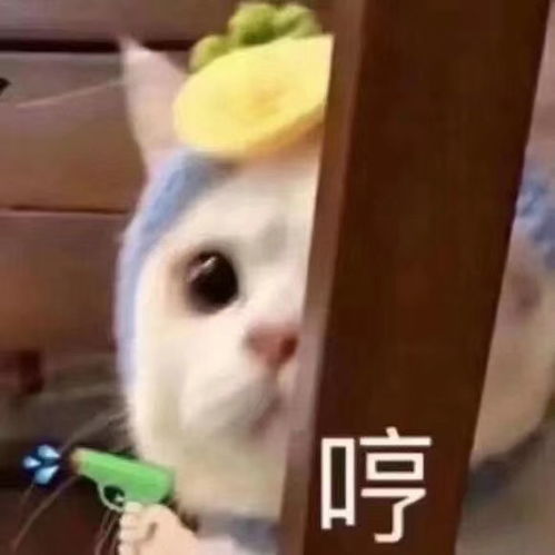 优质动漫情头就算遇不到别人,也别再喜欢他了
