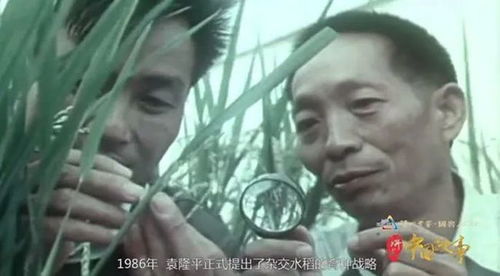 100张珍贵照片缅怀袁隆平院士的一生