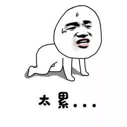 焦作终于对公交站台下手了未来出行将有大变化