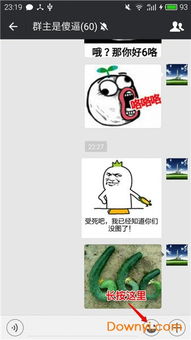 微信斗图神器软件下载微信斗图神器手机版下载v7.0.0安卓最新版当易网