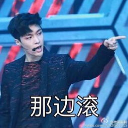exo表情包张艺兴lay