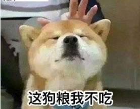 没有作业母慈子孝,一写作业鸡飞狗跳