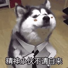 浓烈的沙雕气质文案