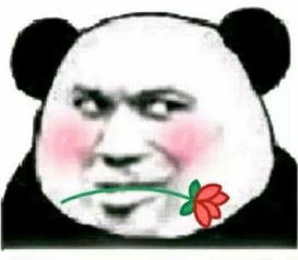 你的表情包过时了,快来补充你们怎么不说话了,都是网红吗