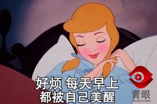 你不也没睡表情包我不管