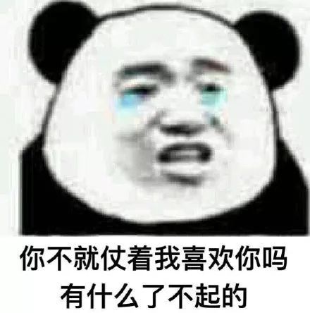 熊猫头无水印斗图必备表情包