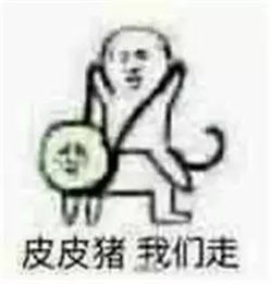 整个朋友圈都在骑皮皮虾它很累了你知道吗