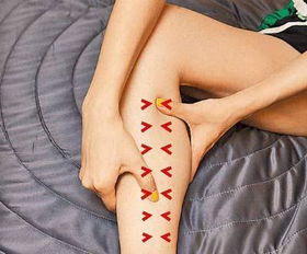 绝妙手法易学瘦小腿肚减大腿内侧赘肉