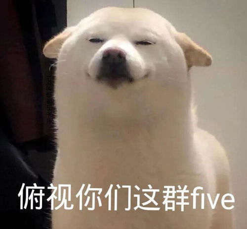 甜甜星座分析团,二分星座世界上另一个我