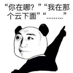 金馆长路痴表情包最新无水印版电脑客户端版雷达下载