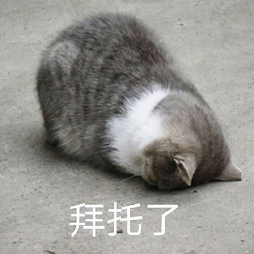 或许每个人,都应该接受一次痔疮手术,人生才足够完美