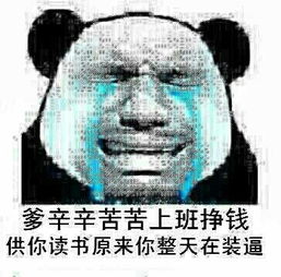 表情与斗图37撕逼斗图表情2