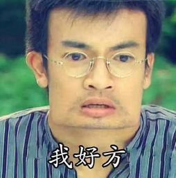 闵鹿蕾表情包昨晚