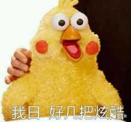 虐鸡,是我国玄学的优良传统