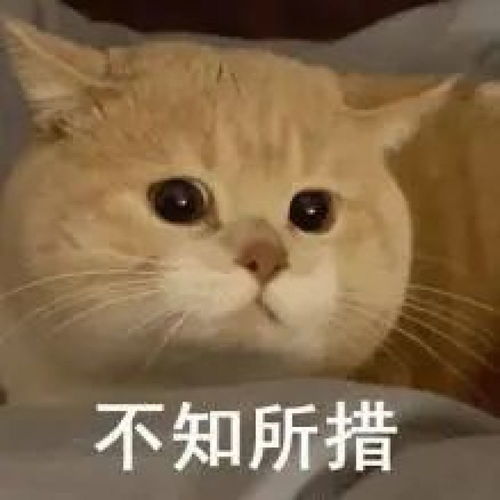 辣梨变性感沙漏90以上姐妹都说自己是梨型身材