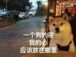 万人相亲大会报名进行时咸宁广电记者带队包相亲包食宿包玩爽单身汪们速速看过来