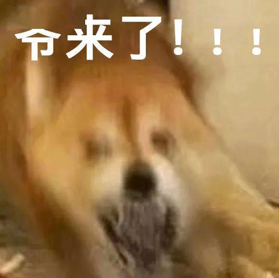 多少网友看他的科普,就是为了挨打