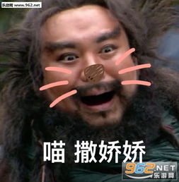 李逵表情包欧尼酱哥哥张飞李逵表情包图片下载乐游网游戏下载