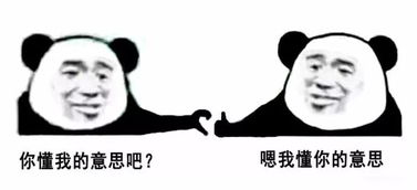 你懂我的意思吧熊猫头表情包抖音你懂我的意思吧表情包下载极速下载