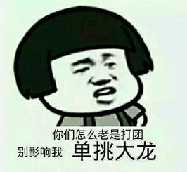 王者荣耀斗图表情包第二十期别影响我单挑大龙