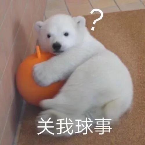 表情包反正爱情不也就那样
