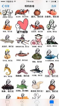 皮皮虾我们走是什么梗什么意思皮皮虾我们走表情包下载县域经济中国网