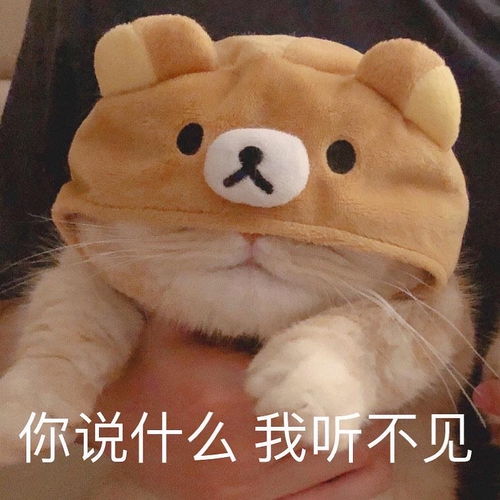 改完微信号发现大事不妙......
