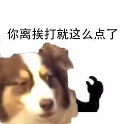 今天来说说我的女儿