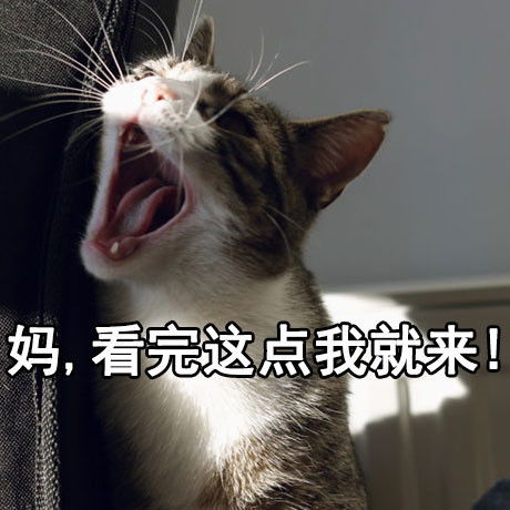 萌宠表情包妈,我东西找不到了