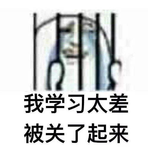 高中生学习专用表情包,是学霸就进来收图