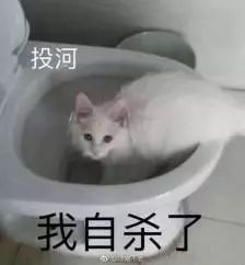你算什么垃圾